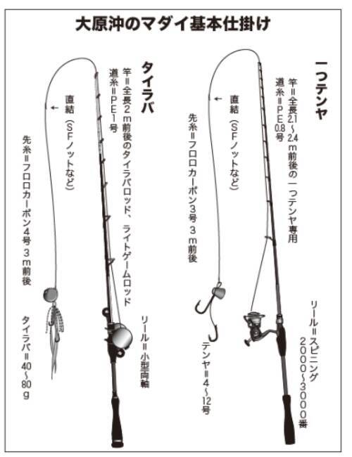 今こそ大ダイのチャンス!! テンヤ、タイラバどちらも有望