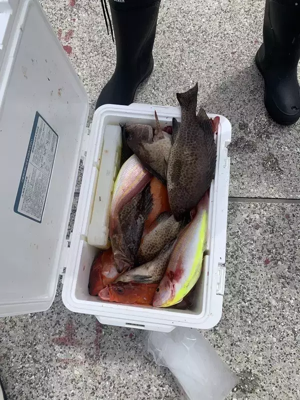 【釣果速報】神奈川県深田正夫丸で人気魚オオモンハタをキャッチ！アカハタとカサゴも上がり全員お土産ゲットの快挙！
