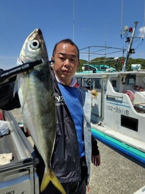 【釣果速報】千葉県勘次郎丸でアジ釣れる！型揃いに特大まじり！極上アジを自分の手で釣って召し上がれ！
