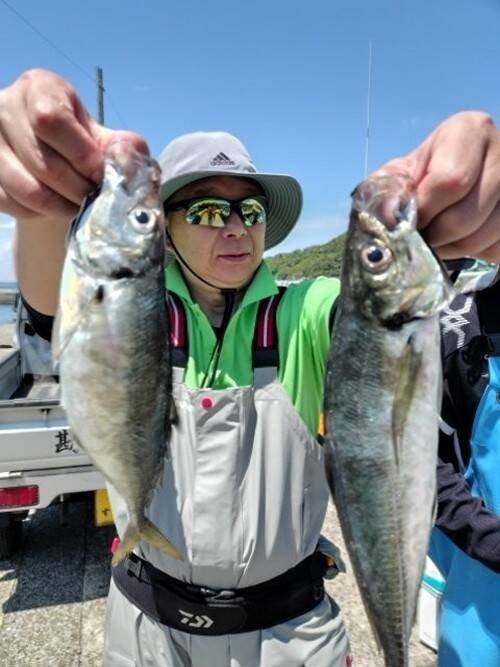 【釣果速報】千葉県勘次郎丸でアジ釣れる！型揃いに特大まじり！極上アジを自分の手で釣って召し上がれ！