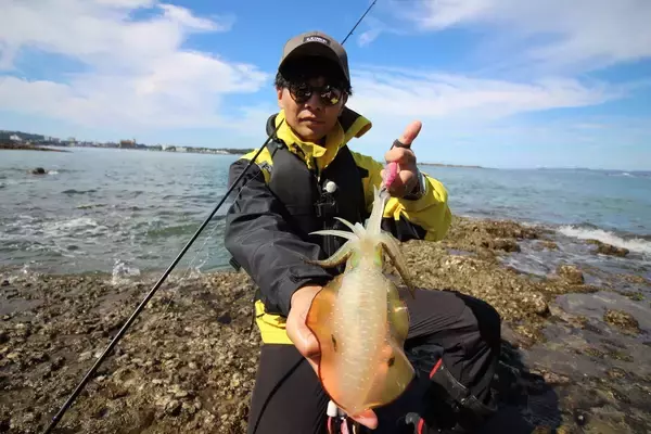 南紀のエギングで超シャローがオススメな３つの理由。若手名手・勝股優の攻略法も紹介