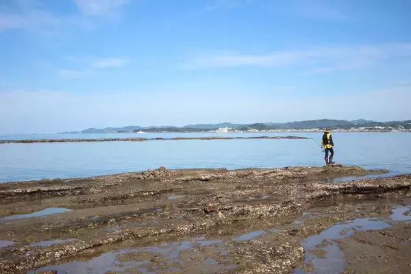 「南紀のエギングで超シャローがオススメな３つの理由。若手名手・勝股優の攻略法も紹介」の画像