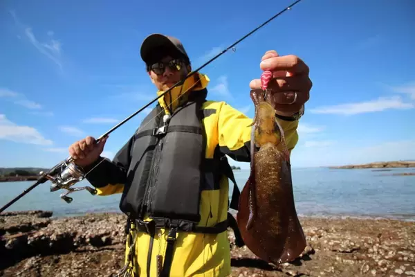 「南紀のエギングで超シャローがオススメな３つの理由。若手名手・勝股優の攻略法も紹介」の画像