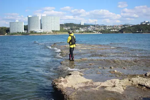 「南紀のエギングで超シャローがオススメな３つの理由。若手名手・勝股優の攻略法も紹介」の画像