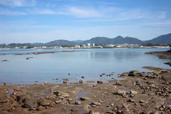 「南紀のエギングで超シャローがオススメな３つの理由。若手名手・勝股優の攻略法も紹介」の画像