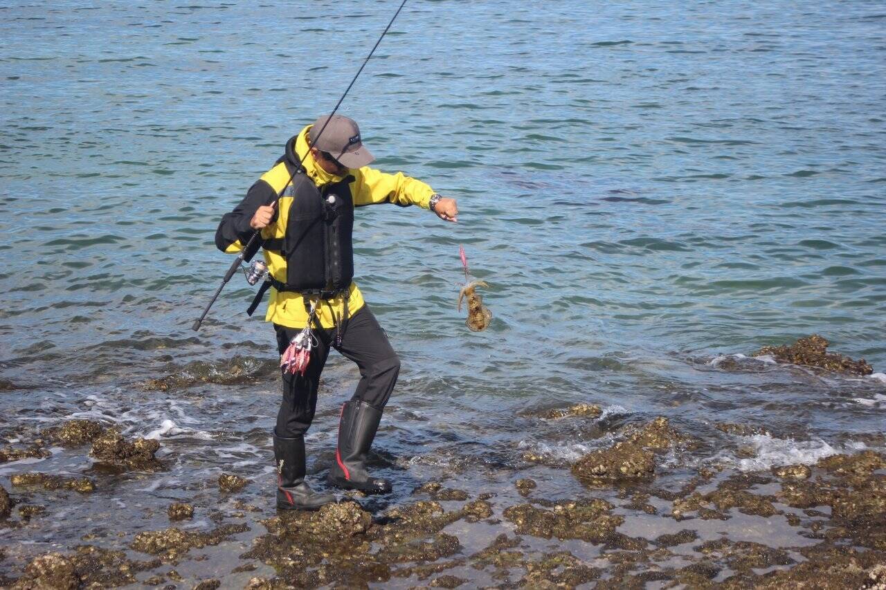 南紀のエギングで超シャローがオススメな３つの理由。若手名手・勝股優の攻略法も紹介