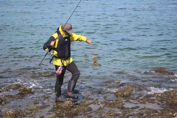 「南紀のエギングで超シャローがオススメな３つの理由。若手名手・勝股優の攻略法も紹介」の画像