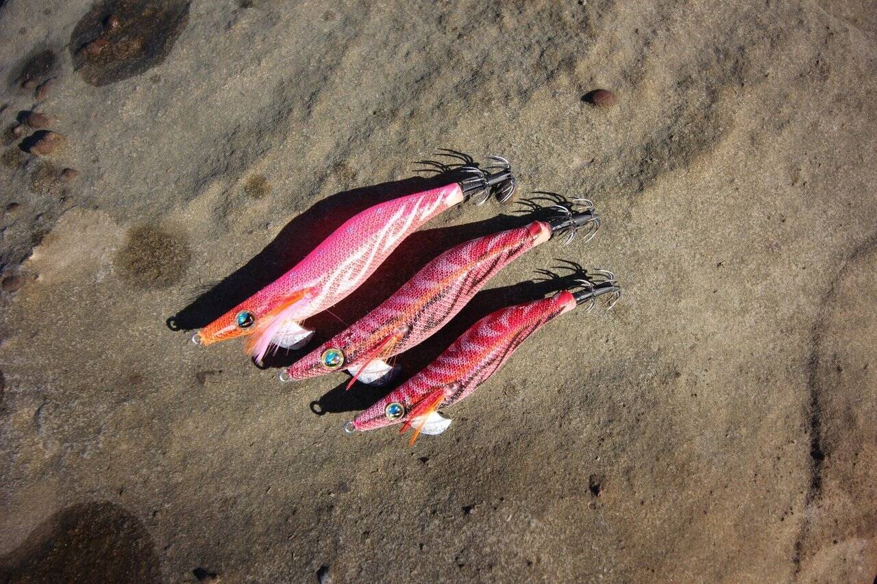 南紀のエギングで超シャローがオススメな３つの理由。若手名手・勝股優の攻略法も紹介