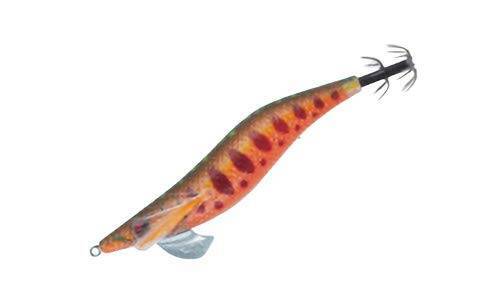 南紀のエギングで超シャローがオススメな３つの理由。若手名手・勝股優の攻略法も紹介