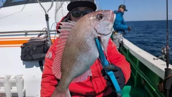 「【釣果速報】茨城県弁天丸で大人気のマダイ釣行！船長厳選のポイントで全員ヒットの大熱戦！今後爆釣の予感！」の画像