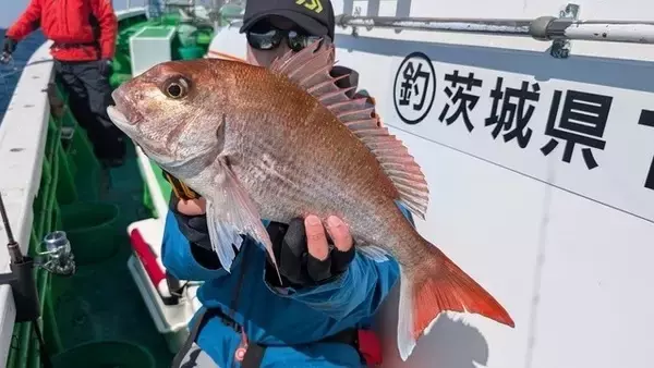 「【釣果速報】茨城県弁天丸で大人気のマダイ釣行！船長厳選のポイントで全員ヒットの大熱戦！今後爆釣の予感！」の画像