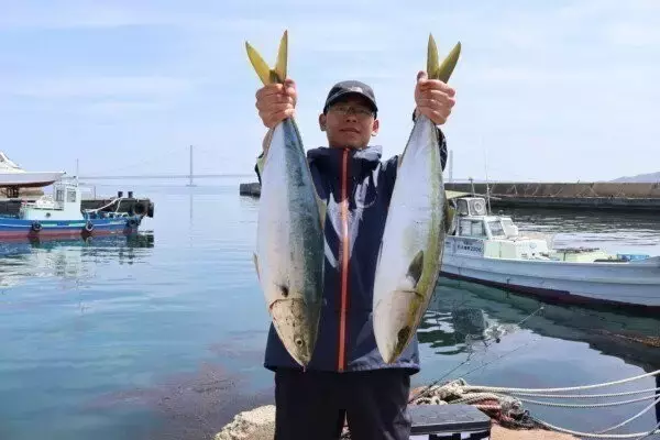 「【釣果速報】兵庫県魚英でサワラゲット！最大101cm！引きも味も最高のサワラを今すぐ狙いに行って！」の画像