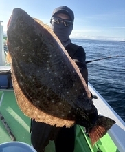 【釣果速報】神奈川県あまさけや丸で人気のヒラメ釣れた！あなたもあまさけや丸でヒラメを狙おう！