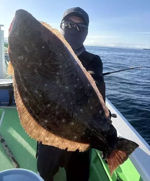 【釣果速報】神奈川県あまさけや丸で人気のヒラメ釣れた！あなたもあまさけや丸でヒラメを狙おう！