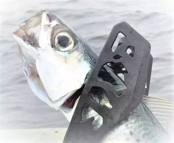 「サバをルアーで釣りたい！ショアからのキャスティングゲーム入門」の画像