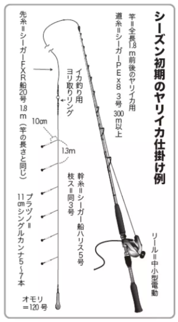 「シーズン初期の小型を攻略三浦半島のヤリイカ上昇に期待」の画像