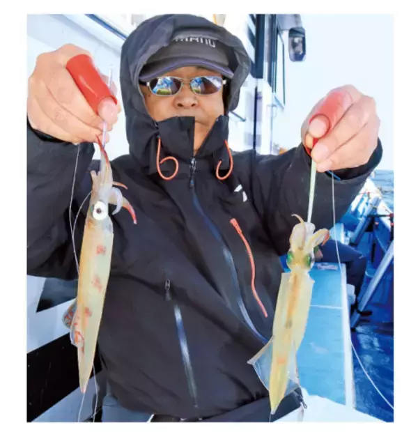 「シーズン初期の小型を攻略三浦半島のヤリイカ上昇に期待」の画像