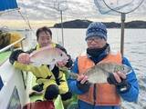 「【釣果速報】神奈川県政信丸でカサゴ・クロダイ・マダイGET！アジ竿頭25匹も！幅広で黄色いコロコロしたアジ狙ってみませんか？」の画像2