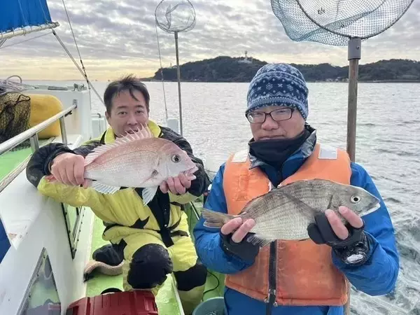 「【釣果速報】神奈川県政信丸でカサゴ・クロダイ・マダイGET！アジ竿頭25匹も！幅広で黄色いコロコロしたアジ狙ってみませんか？」の画像