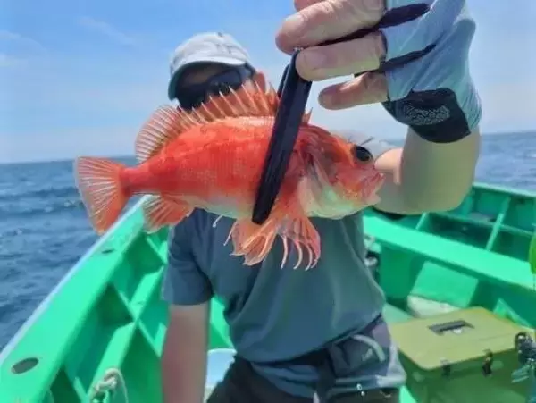 【釣果速報】ノドクロカサゴ&シロムツ&クロムツなどGET！神奈川県かりゆし丸で量・型ともに大満足の釣行に出かけよう！