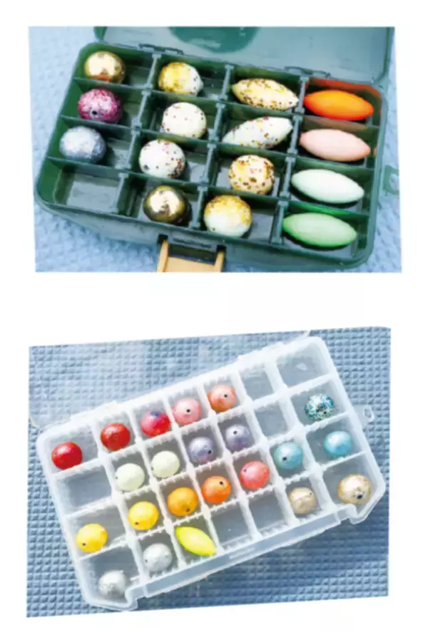 「重量感と強い引きが魅力湾フグはヒガンフグの好期へ」の画像