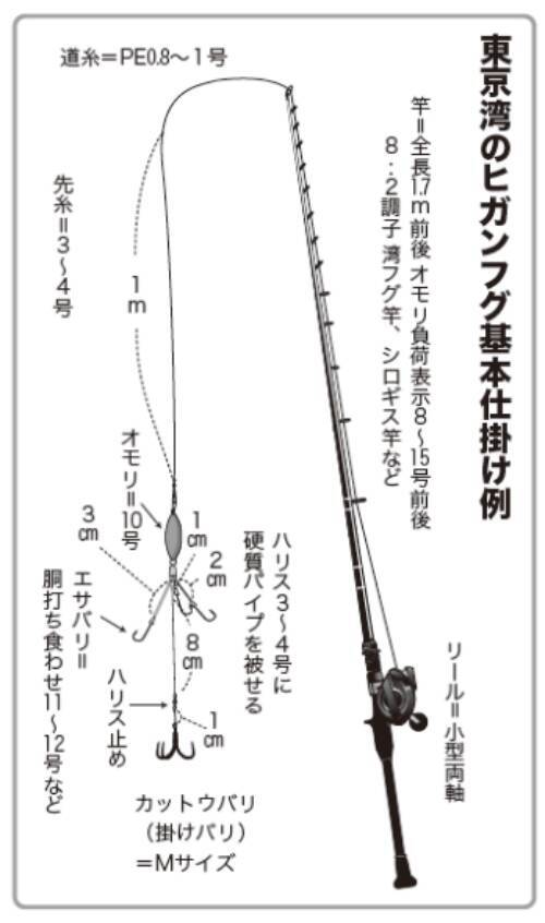 重量感と強い引きが魅力湾フグはヒガンフグの好期へ