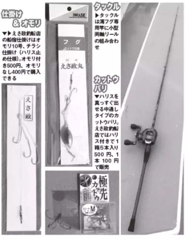 「重量感と強い引きが魅力湾フグはヒガンフグの好期へ」の画像