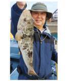 「重量感と強い引きが魅力湾フグはヒガンフグの好期へ」の画像9