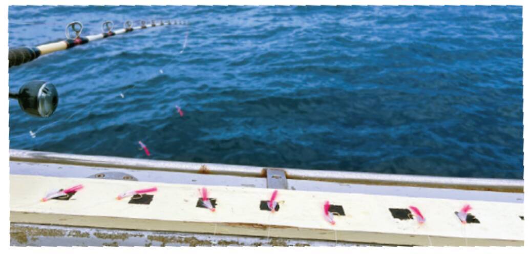 サビキで手軽にキンメ釣り想像以上のサイズも魅力