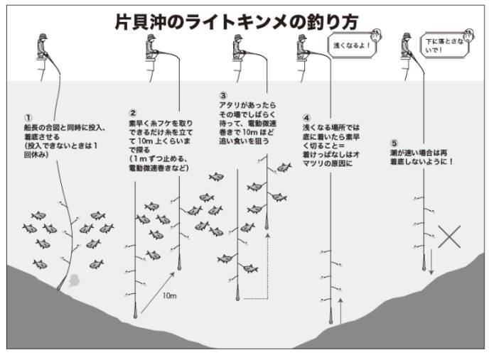 サビキで手軽にキンメ釣り想像以上のサイズも魅力
