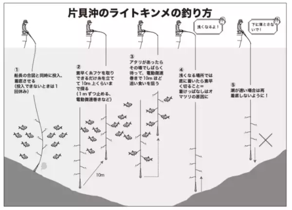 「サビキで手軽にキンメ釣り想像以上のサイズも魅力」の画像