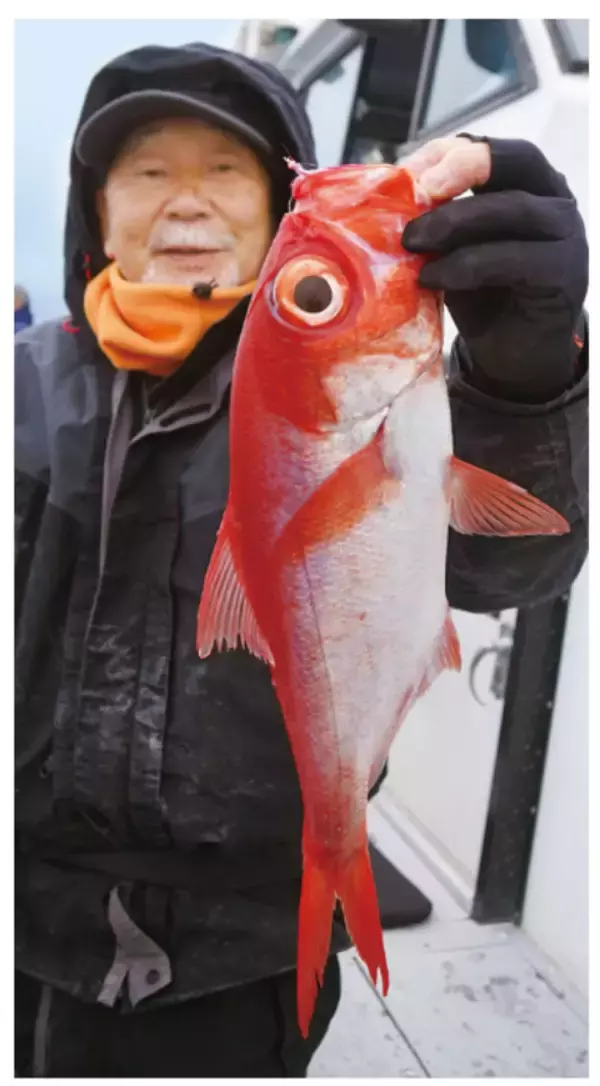 「サビキで手軽にキンメ釣り想像以上のサイズも魅力」の画像