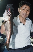 深夜2時出船のリレー釣り　暑さ知らずで満足釣果！