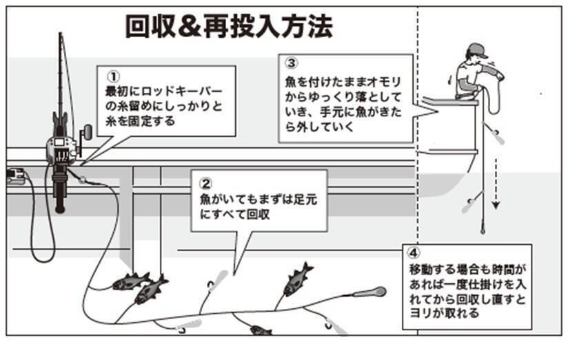 深夜2時出船のリレー釣り　暑さ知らずで満足釣果！