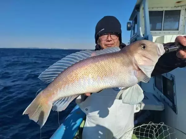 【釣果速報】千葉県利八丸でヒット連発＆ドデカい50cmシロアマダイをゲット！自己記録更新を狙うなら今すぐ乗船だ！
