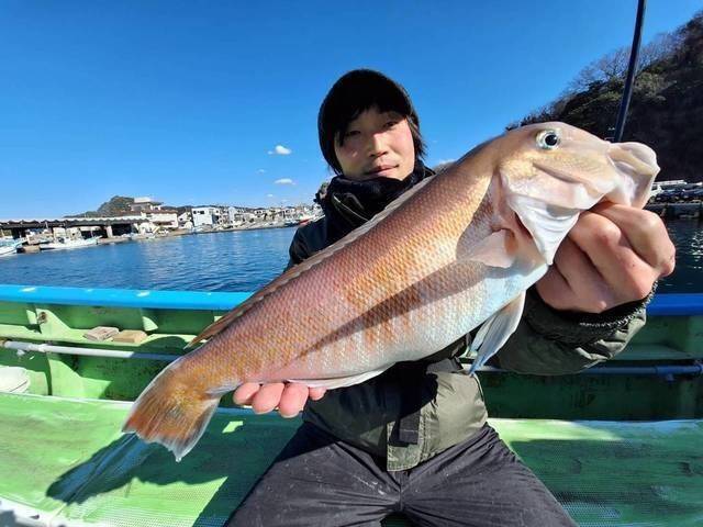 【釣果速報】千葉県利八丸でヒット連発＆ドデカい50cmシロアマダイをゲット！自己記録更新を狙うなら今すぐ乗船だ！
