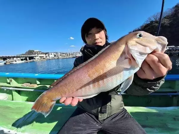 「【釣果速報】千葉県利八丸でヒット連発＆ドデカい50cmシロアマダイをゲット！自己記録更新を狙うなら今すぐ乗船だ！」の画像