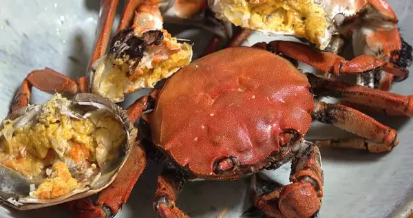 モクズガニを美味しく食べたい！ルールを守って捕獲しよう