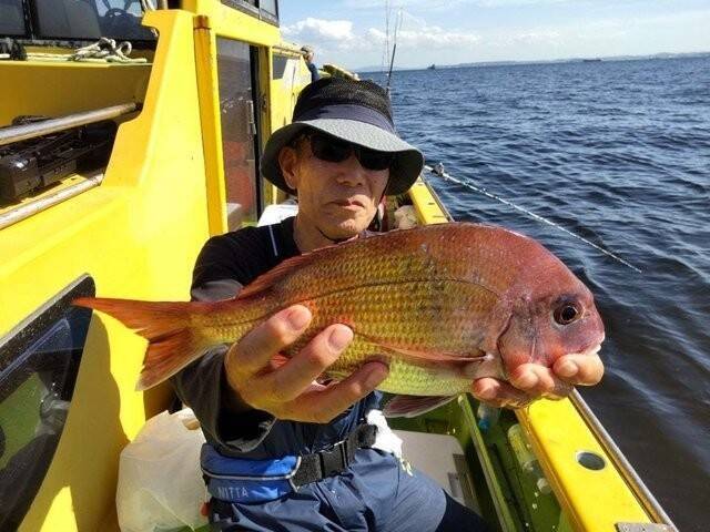 【釣果速報】神奈川県鴨下丸kawanaのマダイ船が好調！ゲストも多種多様！充実の釣行をお約束します！