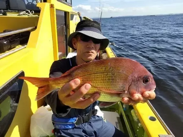 「【釣果速報】神奈川県鴨下丸kawanaのマダイ船が好調！ゲストも多種多様！充実の釣行をお約束します！」の画像