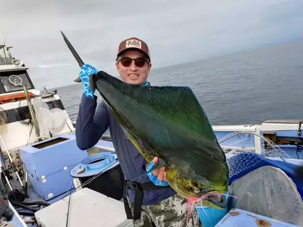 「【釣果速報】神奈川県丸伊丸でカツオ・シイラ好調！カツオ最大2.50kg、シイラ122cm！今後の釣行にも期待大！」の画像