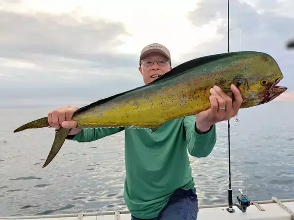 「【釣果速報】神奈川県丸伊丸でカツオ・シイラ好調！カツオ最大2.50kg、シイラ122cm！今後の釣行にも期待大！」の画像