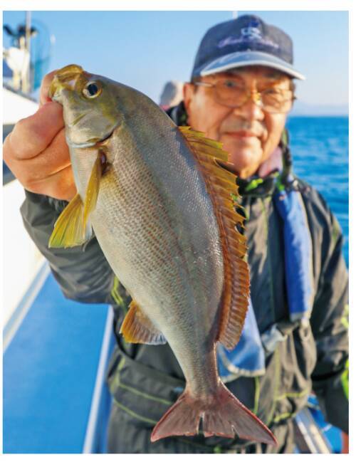 南房洲ノ崎に春の便り良型主体にイサキ開幕！