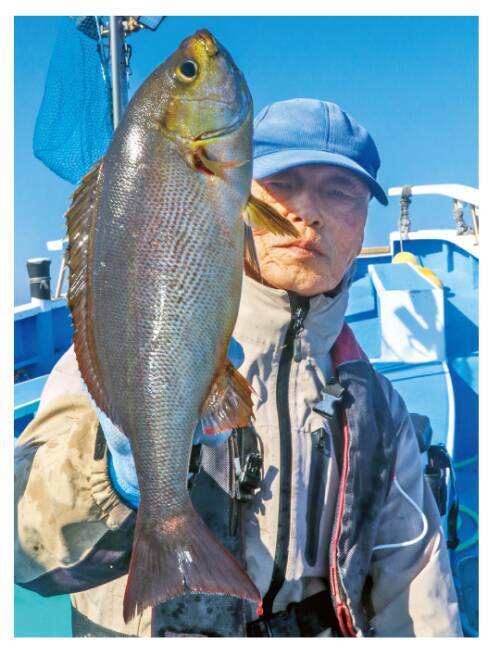 南房洲ノ崎に春の便り良型主体にイサキ開幕！