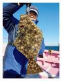 「浅場へ突っ込む春ビラメ大原沖でチャンス到来！」の画像5