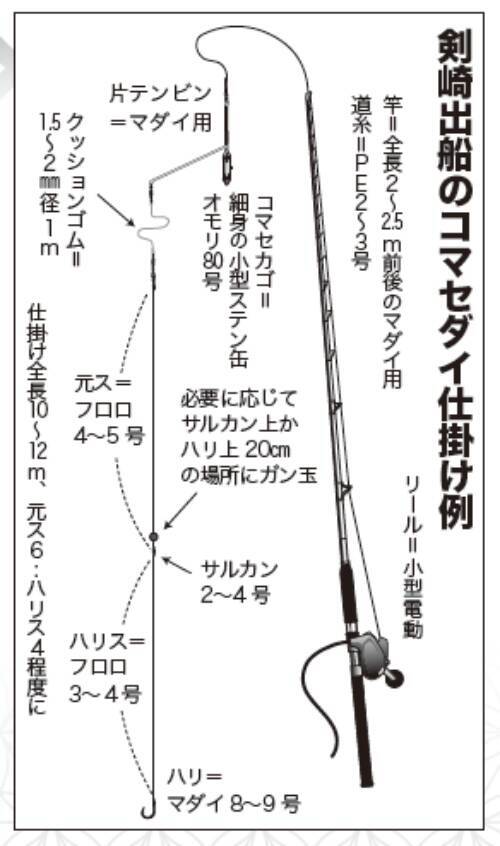 コマセマダイは明るい幕開け！全員安打で冬シーズン期待大