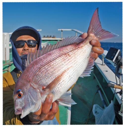 コマセマダイは明るい幕開け！全員安打で冬シーズン期待大