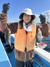 【釣果速報】千葉県宝生丸でイサキトップ52匹！記録更新が狙える今はサイズも良型でとってもおトク！
