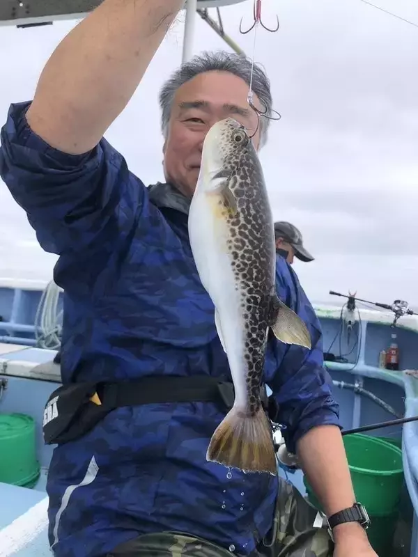 【釣果速報】今なら近場で大型！しかも白子入り！茨城県幸栄丸のショウサイフグ船に一刻も早く乗船だ～！