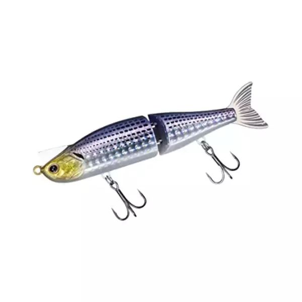 「冬シーバス攻略特集！12月のおすすめ釣り場＋ルアーを知りたい」の画像